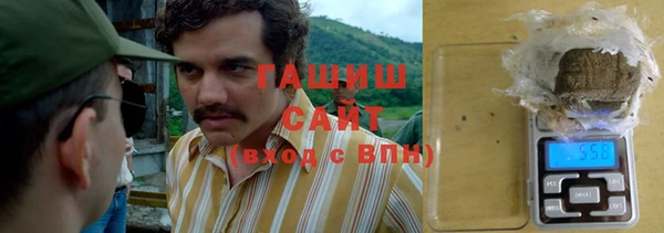 тгк Абаза
