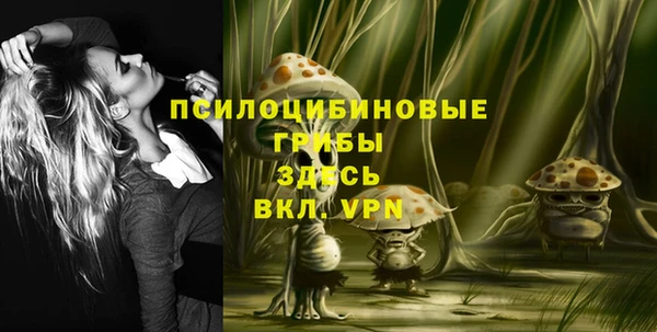тгк Абаза